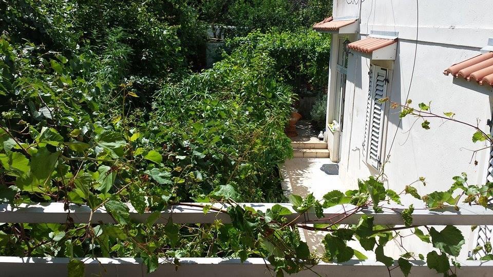 Apartments Lima Lazaneo Jelsa  Kültér fotó